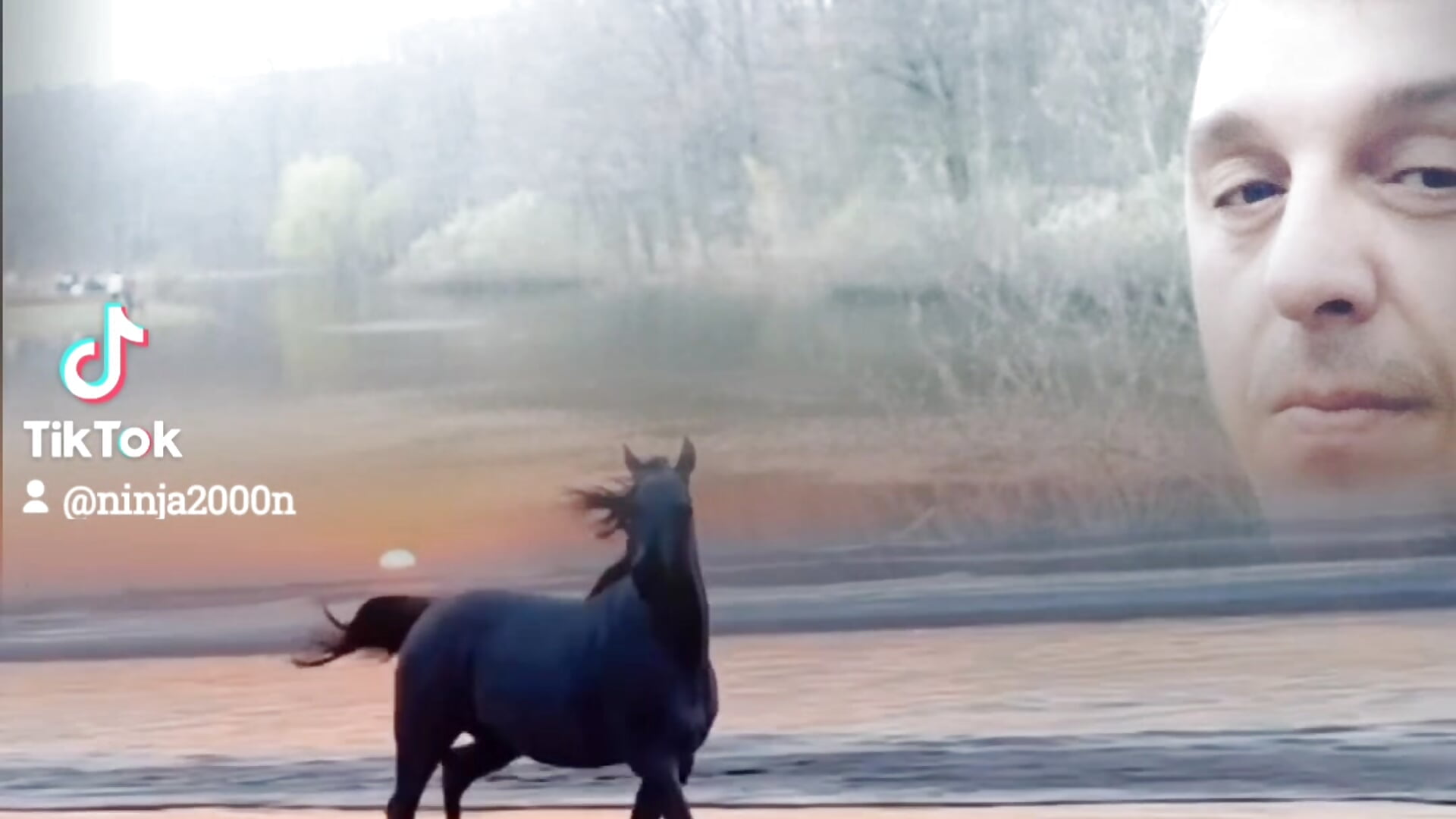 2024-11-26-182548106 - clip cu nink_77 model videochat