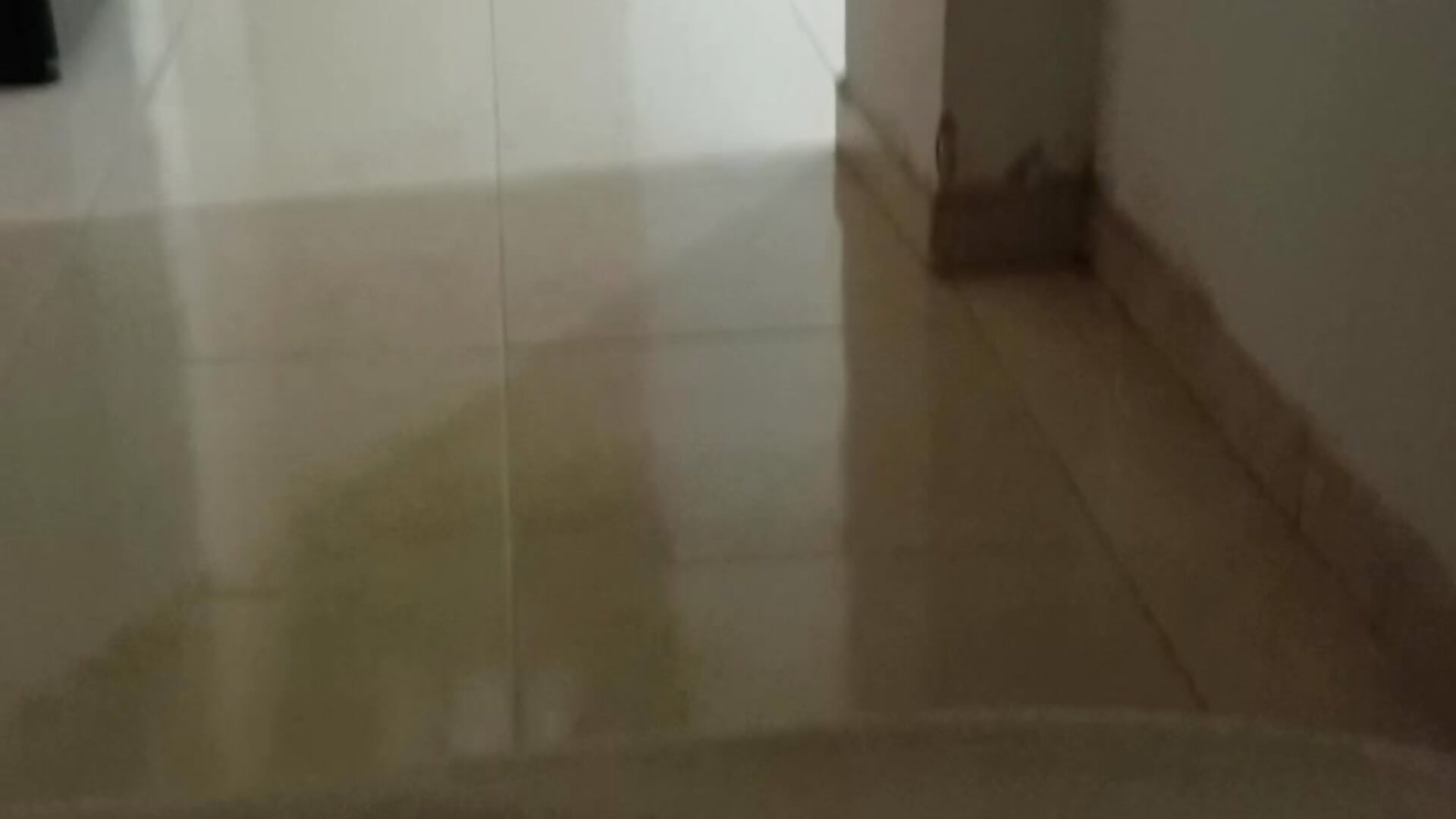 In My new house thanks you - video oleh model kamera Angeli_Naughty1