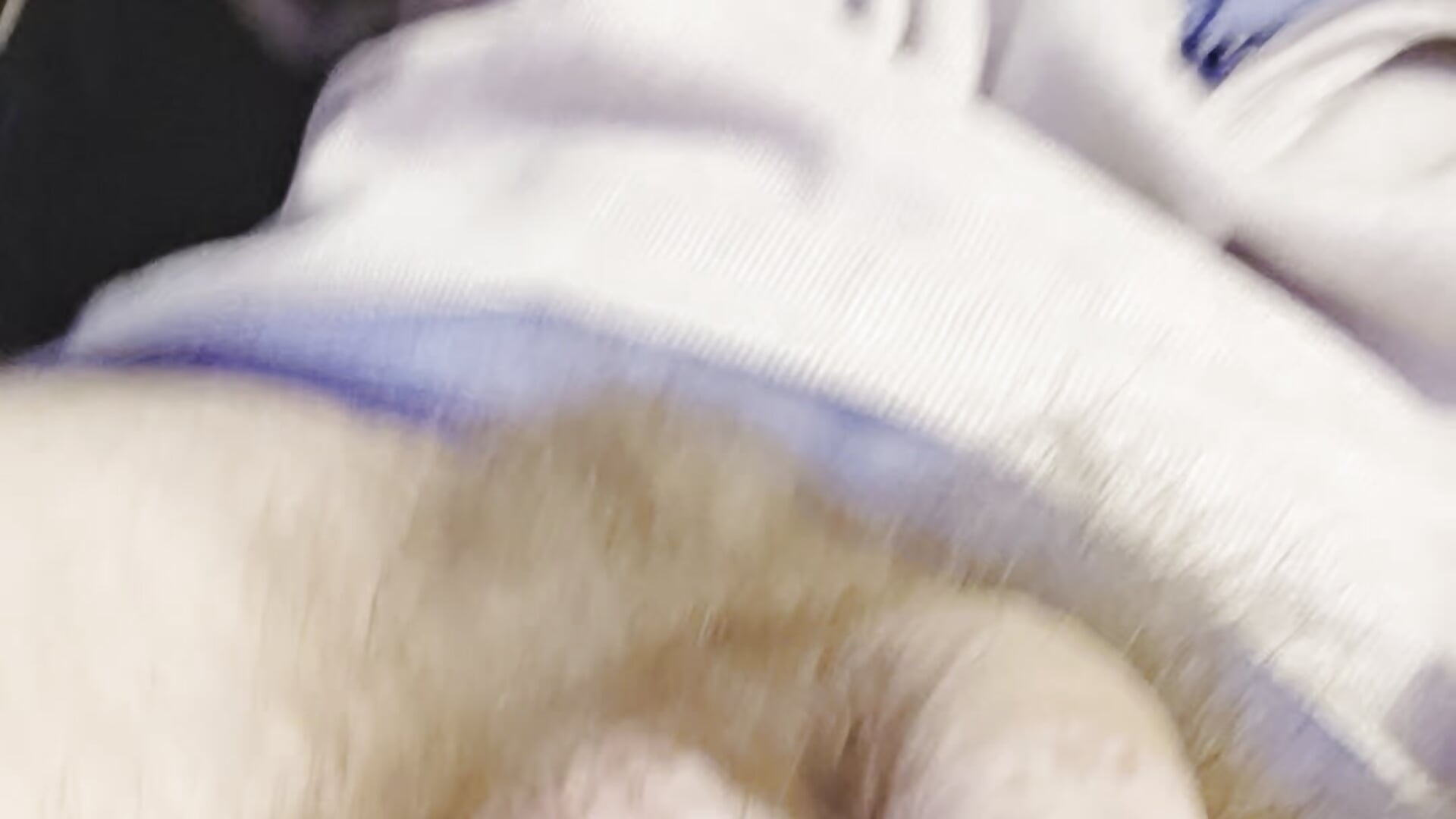 Da wiggle 2 - video by SteepNet1 cam model