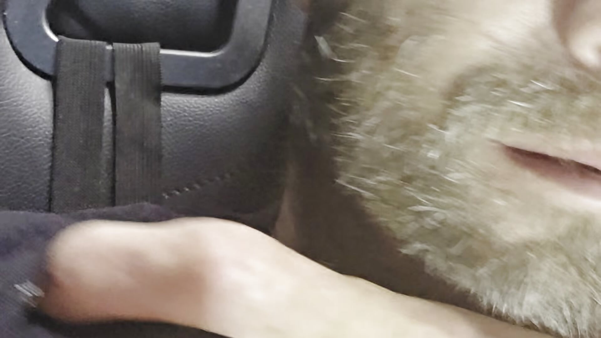 Lil play - video van SteepNet1 cam-model