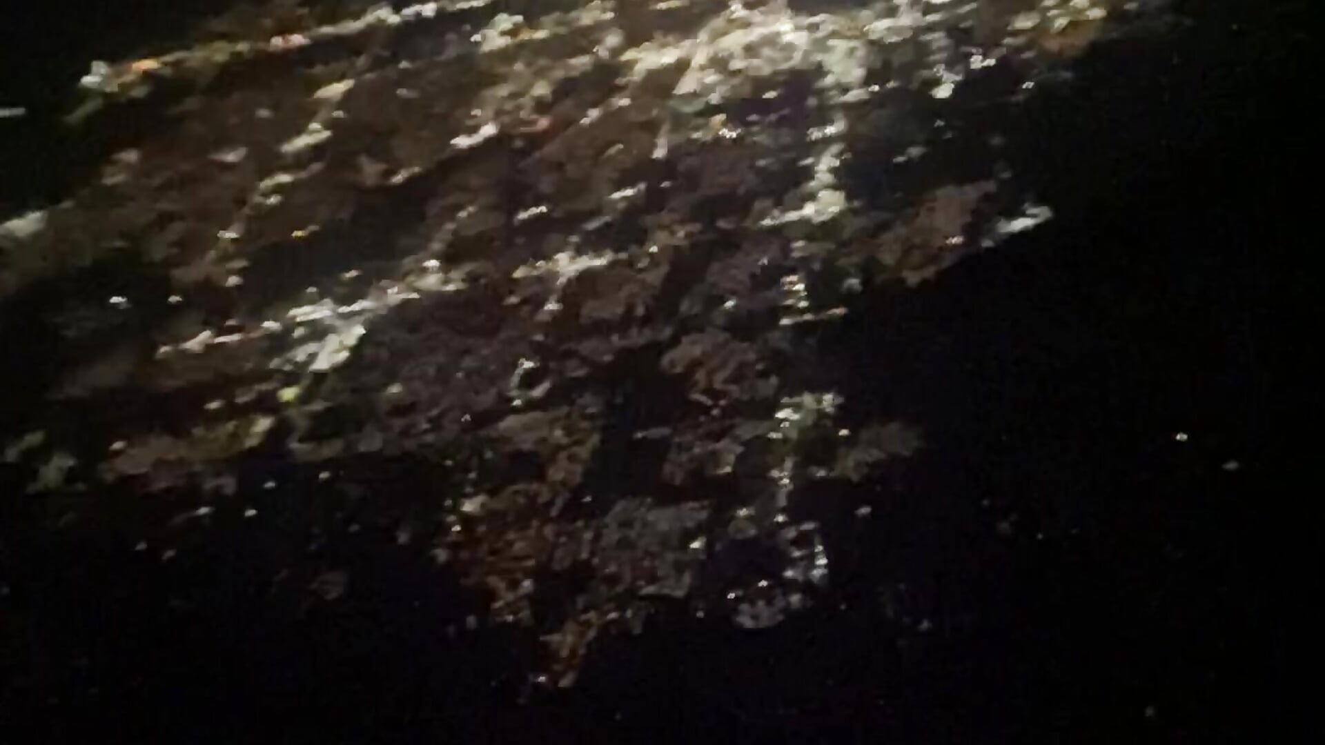 travel - vidéo du modèle de showcams hungkubenski