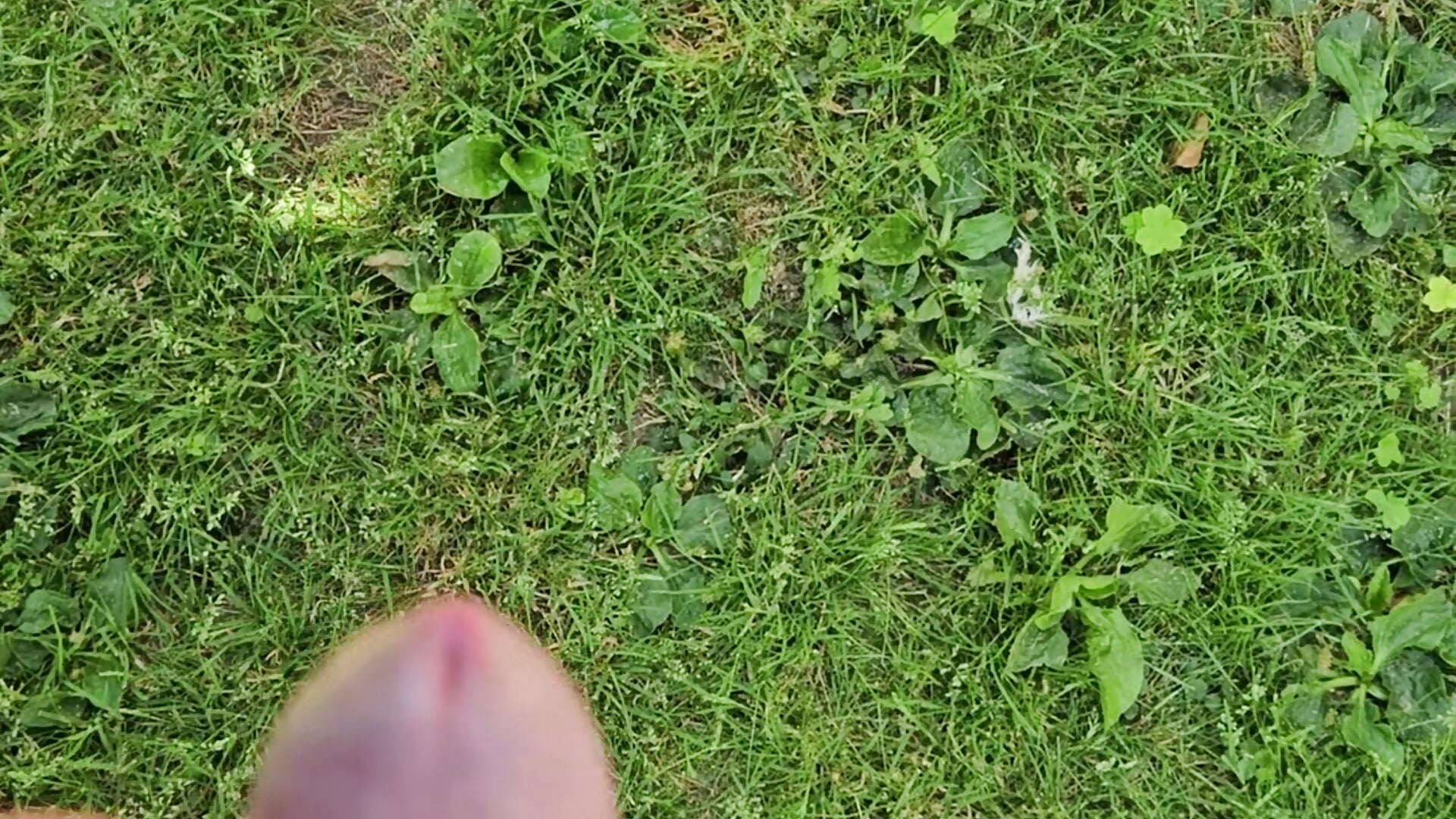 Ejac au jardîn - Vídeo de Kogniac2, modelo de vídeos