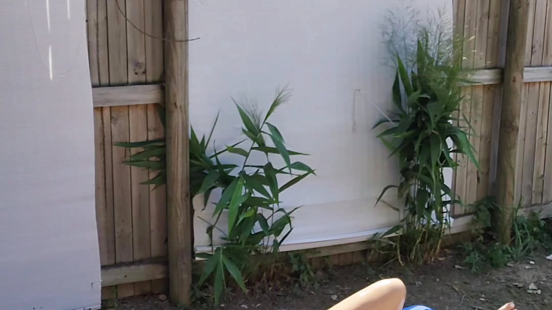 Dude jumps my fence while I'm sunbathing and leaves me with cum all over my face - video by metarav3n cam model