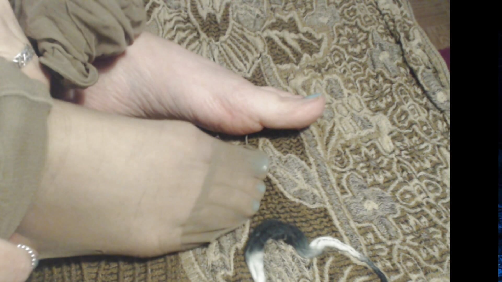 Pantyhose on feet - video by FemmeName cam model