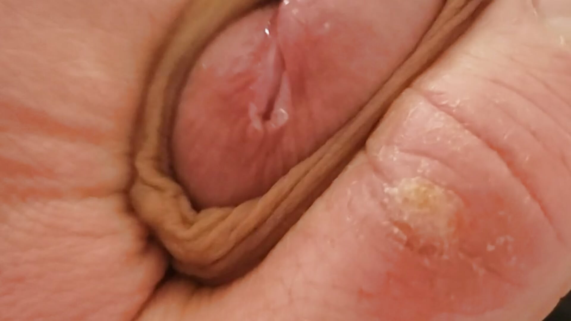 Watch me jerk and play with my precum🤤 - vidéo du modèle de showcams bigdaddyyplays