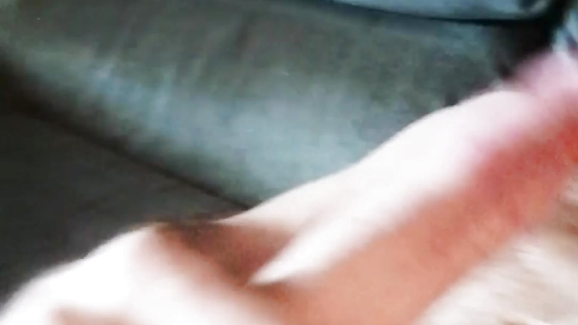 A D.I.D.A.S – video od webkamerové modelky Joysdic41