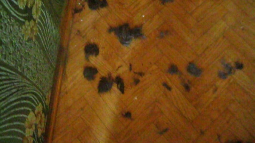 My legs. After shearing. - video by Art_Ass cam model