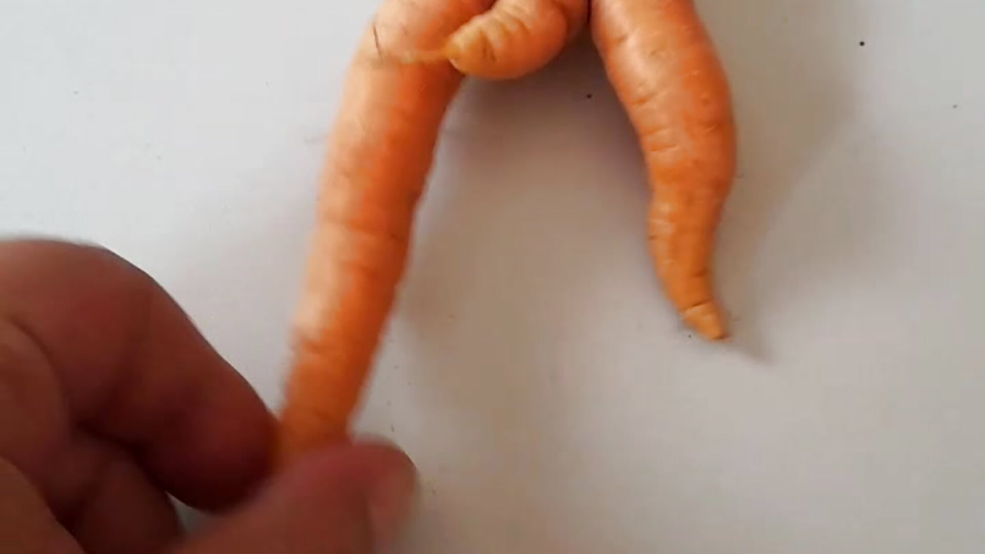 My carrot video - video by Art_Ass cam model