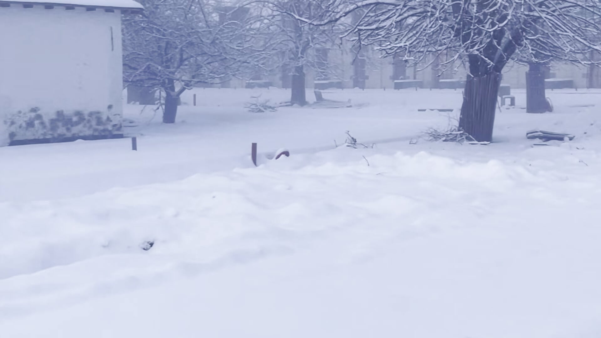 IMG_2260 - video by Poeltje92 cam model