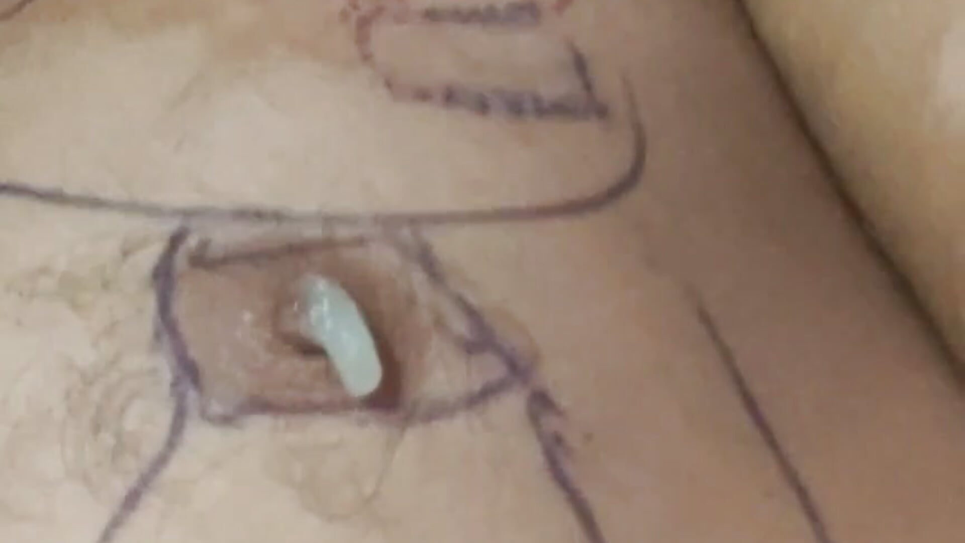 FloppyPickle4u - 主播熱門視頻 3477