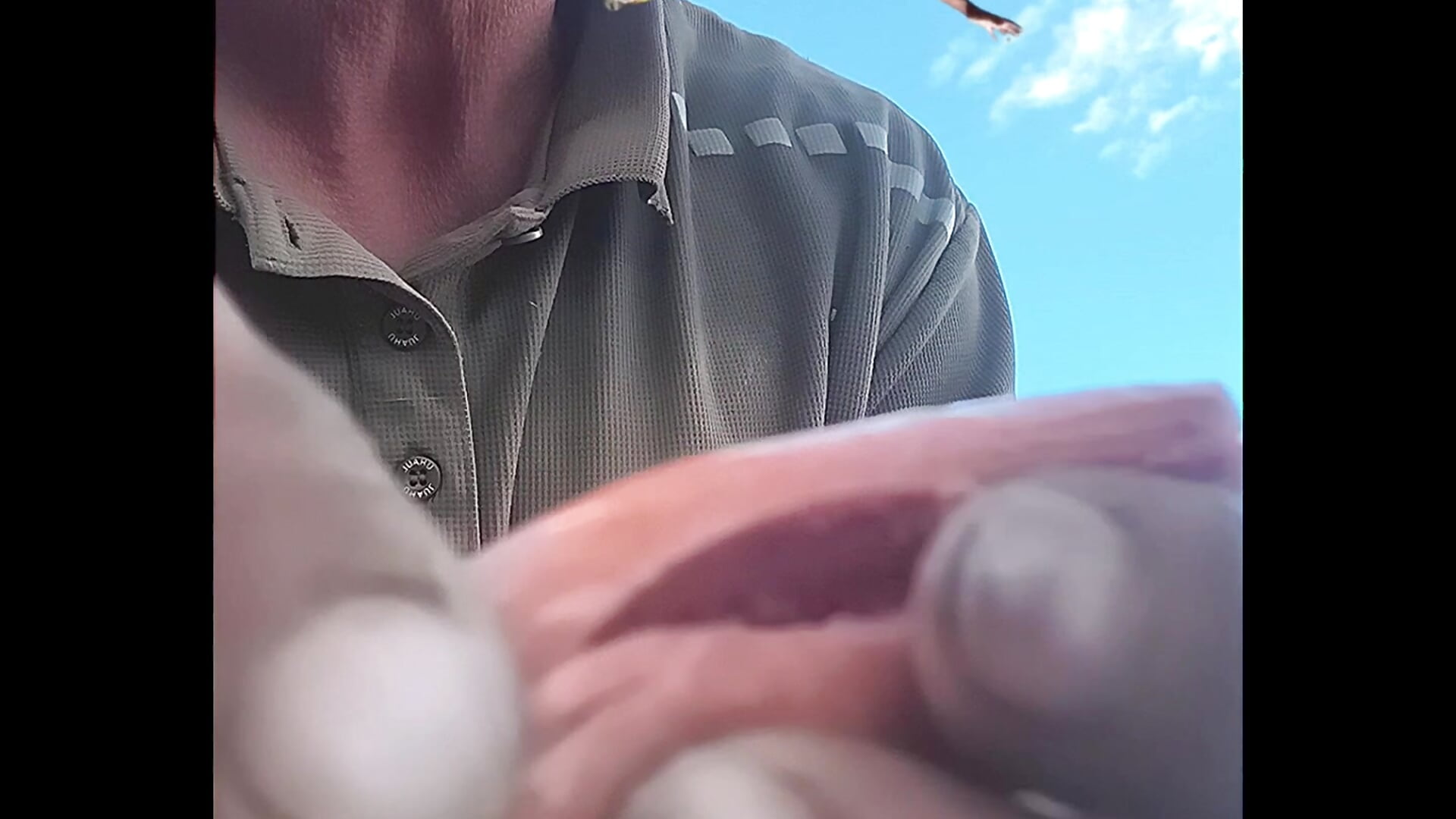 Weiner 1 of 3