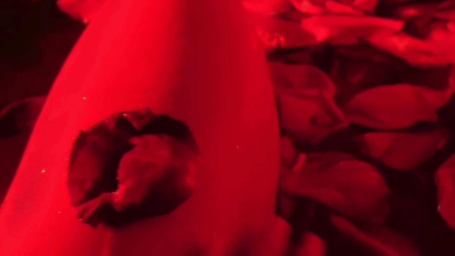 😈😈😈 - 視頻由 _JuliaSpace_ 主播提供