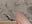 Follow me🤭😏🥰– Bailey_Evans kameramodell videója