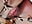 Labia Clamp pink hole pulsating - Video von Shantel-Olivia Cam-Model