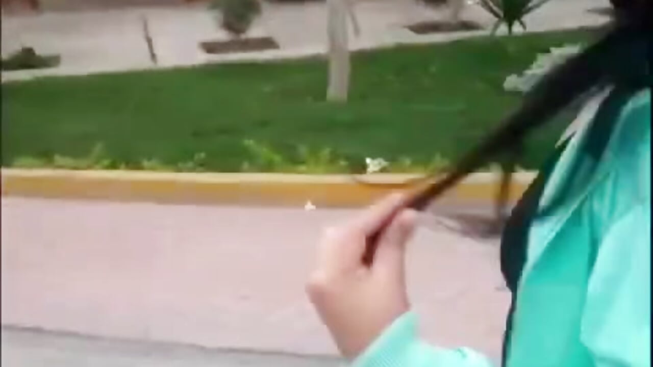 Naughty kitty in the street