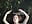 Aesthetics of my name - video by MaryWeberc cam model