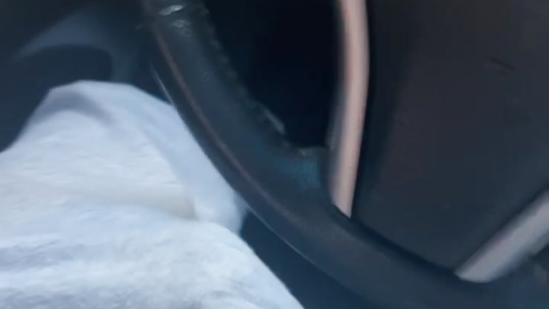 Grey sweatpants bulge with precum stain - video by arabian-alaadin cam model