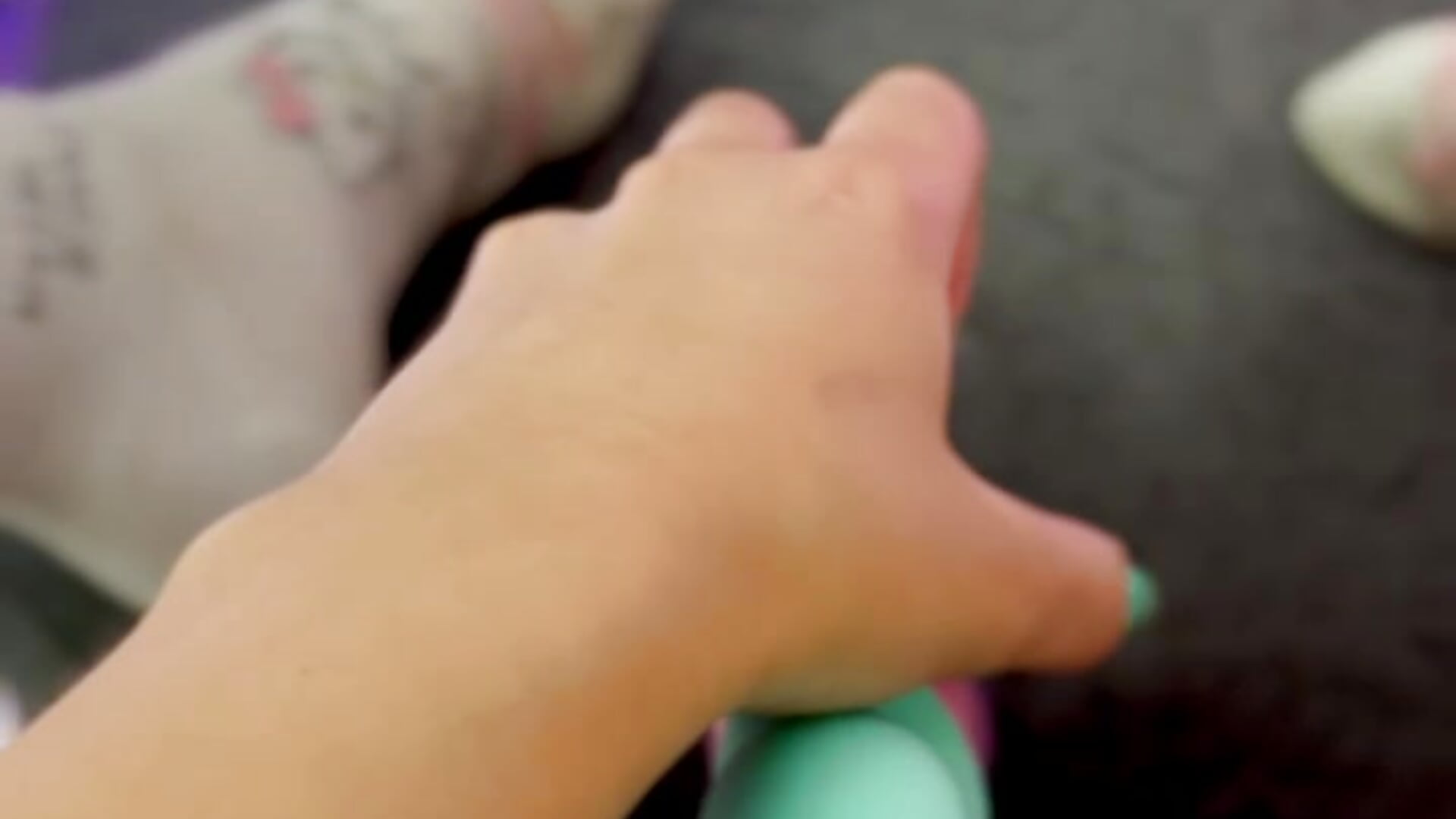 bunny toy.