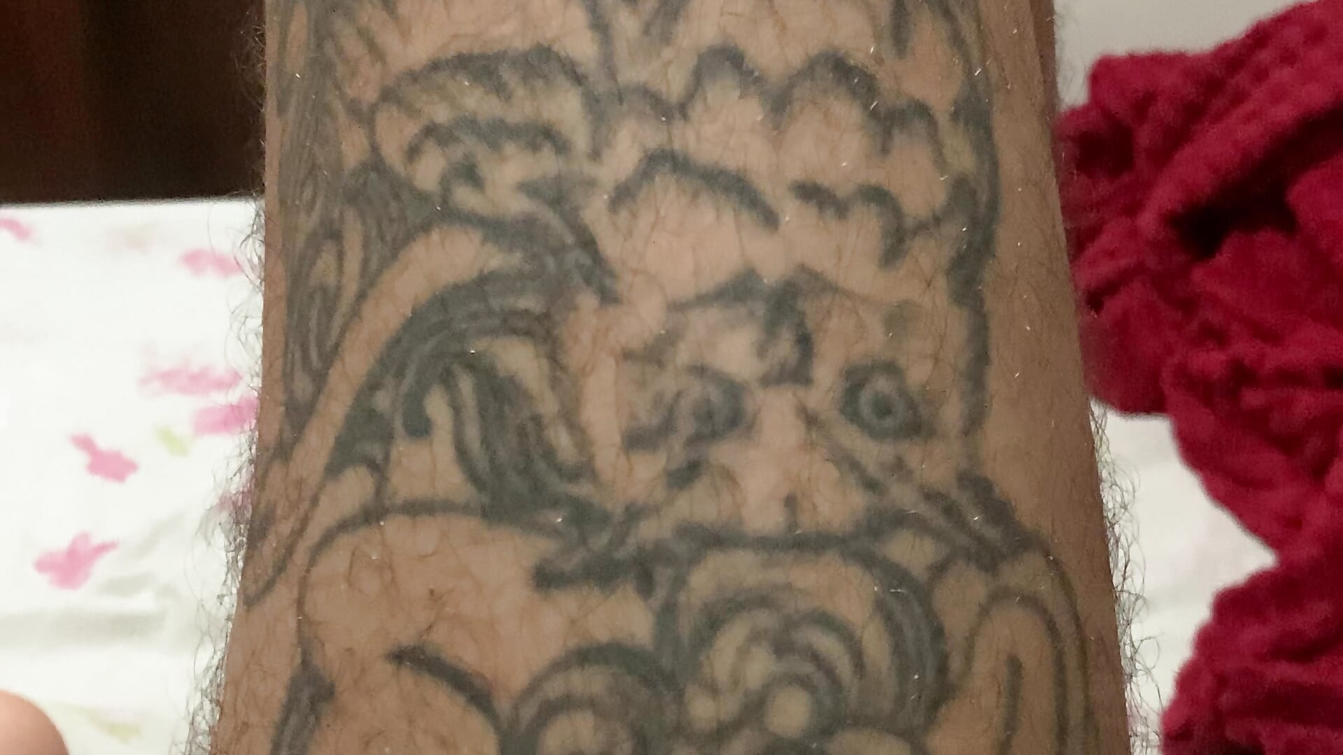 IMG_7456 - video oleh model kamera MalvadoFavorito28