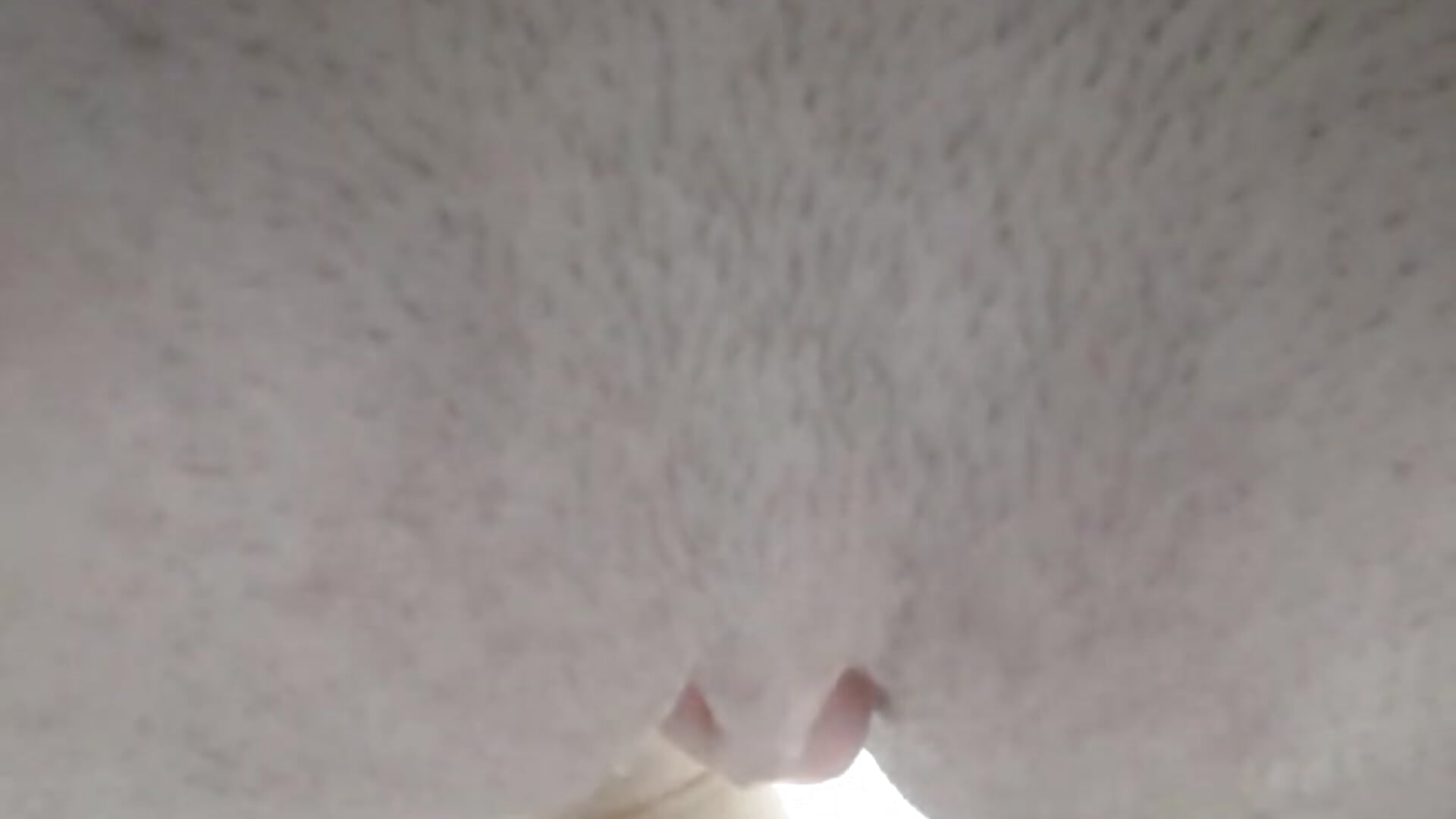 comendo a bucetinha dela de quatro / fuck pussy dogstile