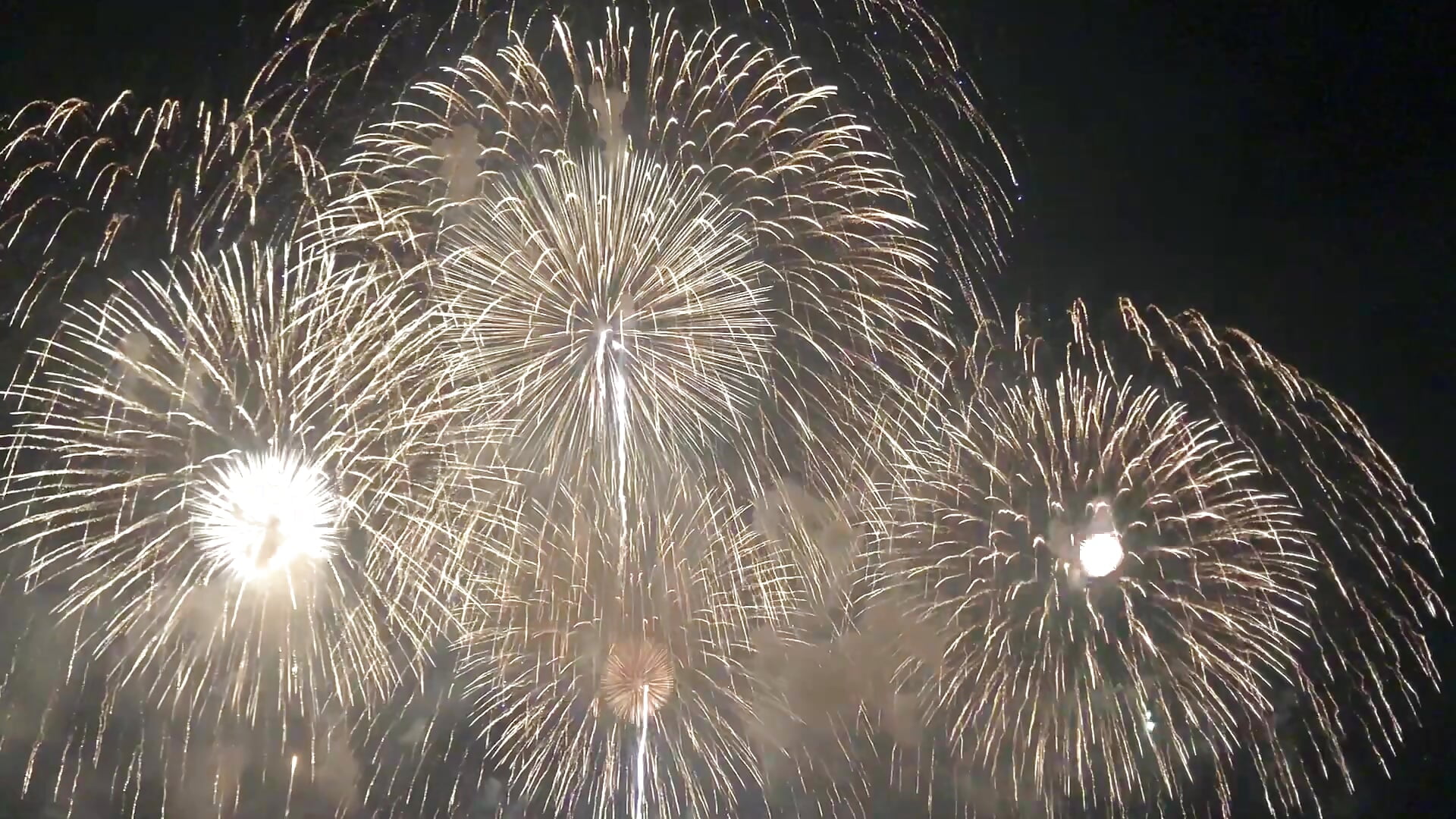 IMG_6468 - βίντεο μοντέλου miRei-