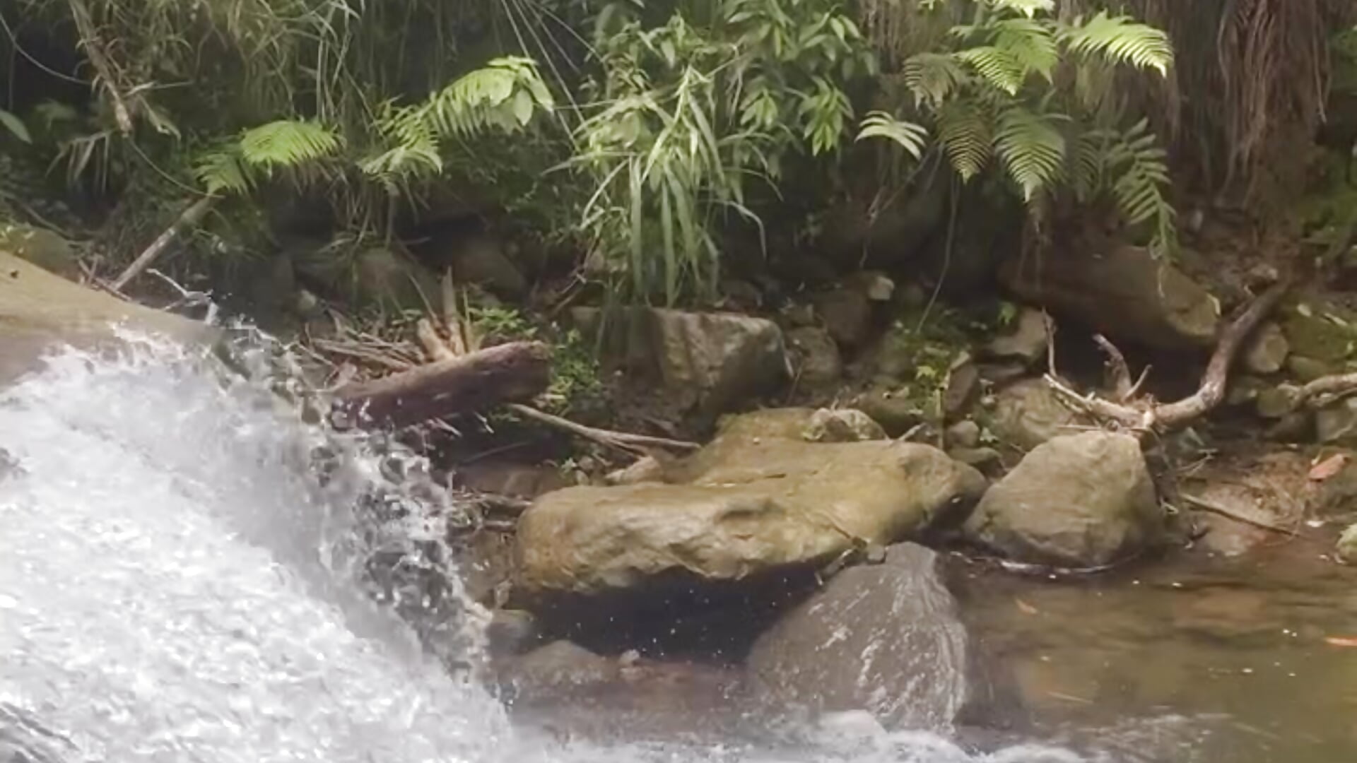 A short trip - video av Ian_Wayne cam-modell