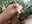 IMG_1834 - video by ionut9879 cam model