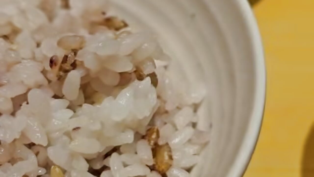 やよい軒カキフライ🍚