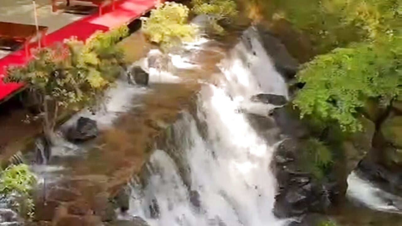 貴船♬.*゚川床 kibune kyoto - vídeo de ERIKA-JP-168130