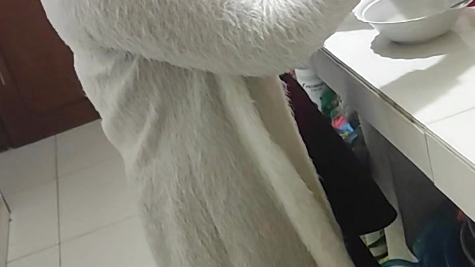 VID_20231018_104108[1] - video by ReedxRosee cam model
