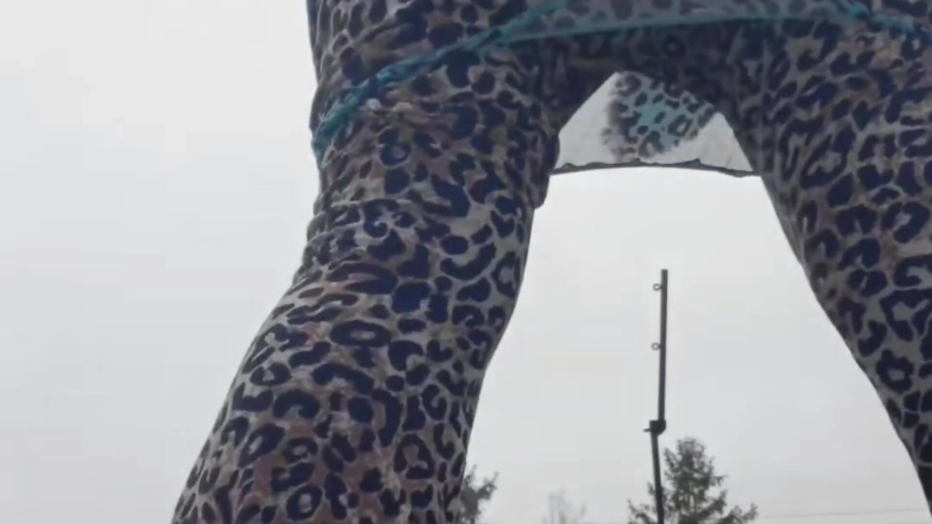 Ass shakin' - video by FondaDix_ cam model