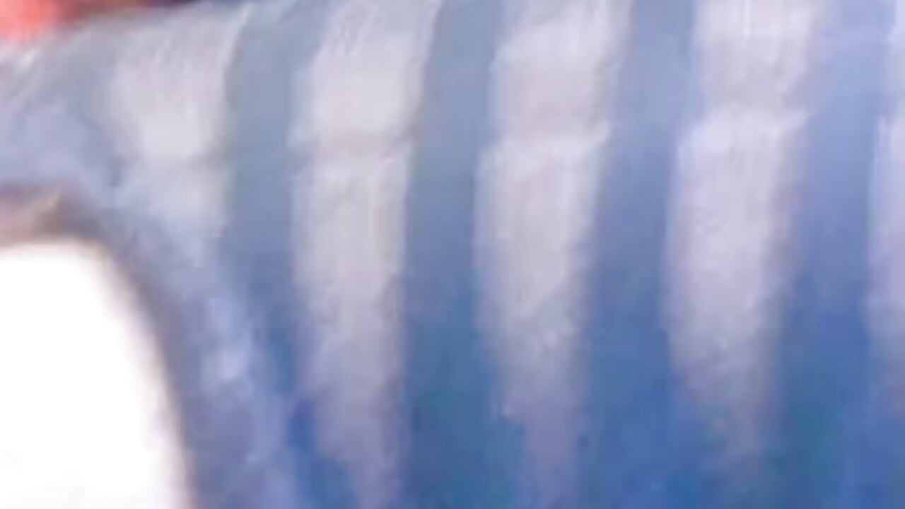 😈 Some fantasies look better in motion - EvaaFoxxy1主播的视频