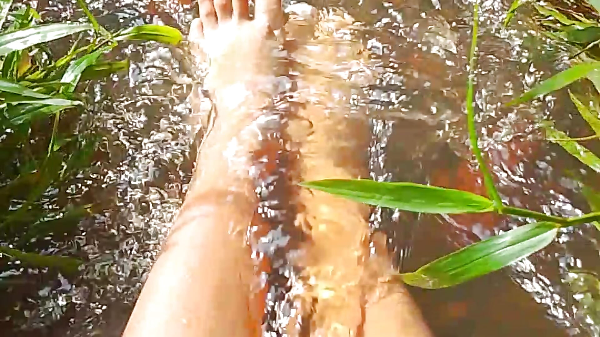 Feet