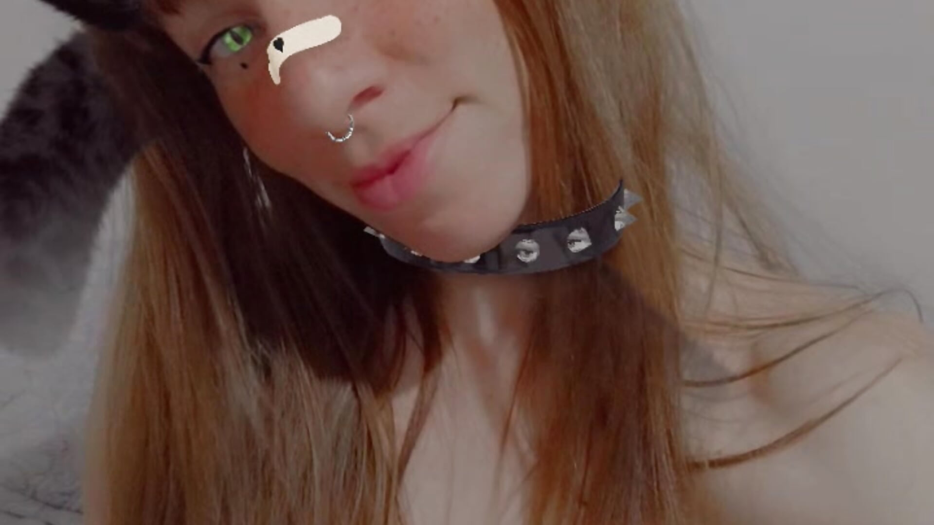 Gatita