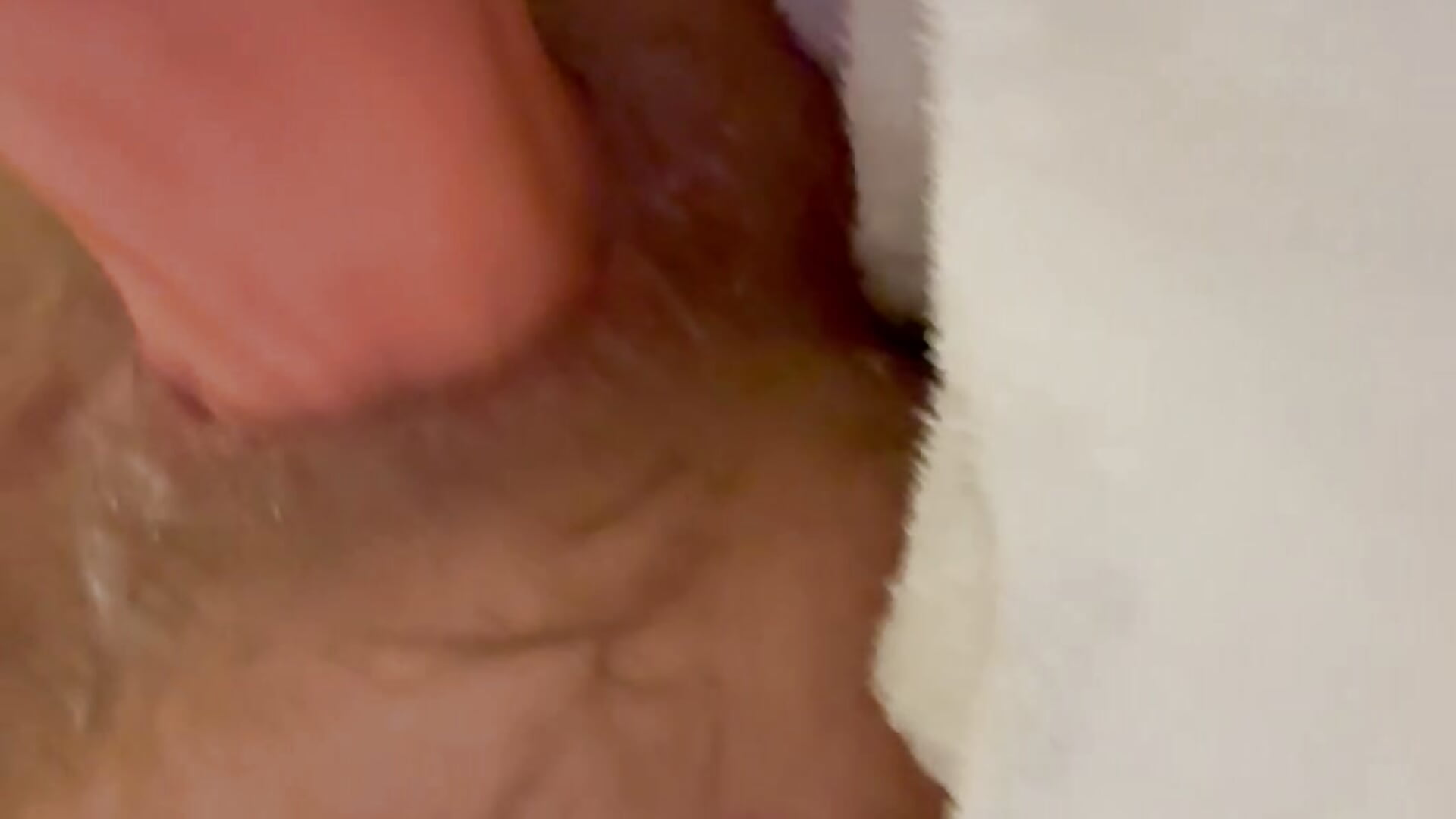 Huge dildo in ass - video by Pmmeforinfo cam model