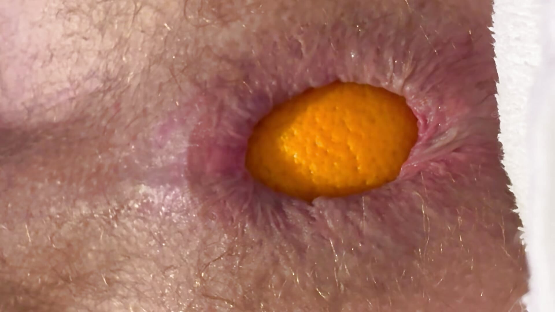 Orange in ass - video by Pmmeforinfo cam model