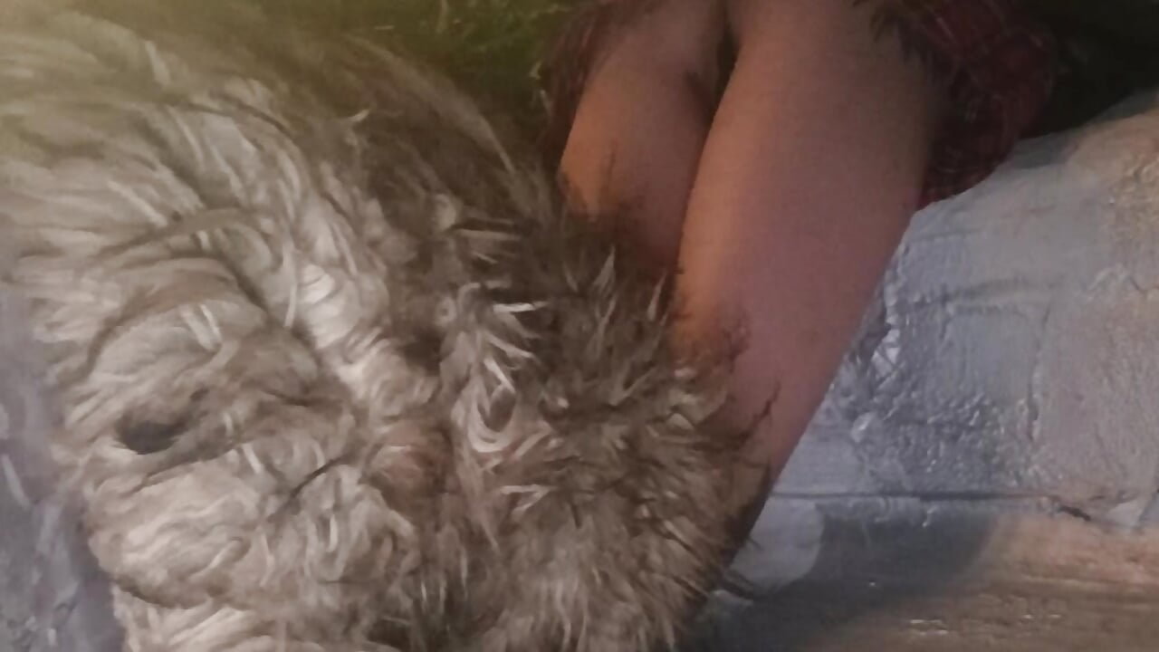 profile-intro-video-1770557479 - barbara_anal_squirt_主播的视频