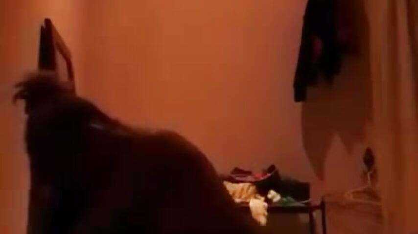 Ride me til I cum - відео від вебкаммоделі Gifttheskimaskboy