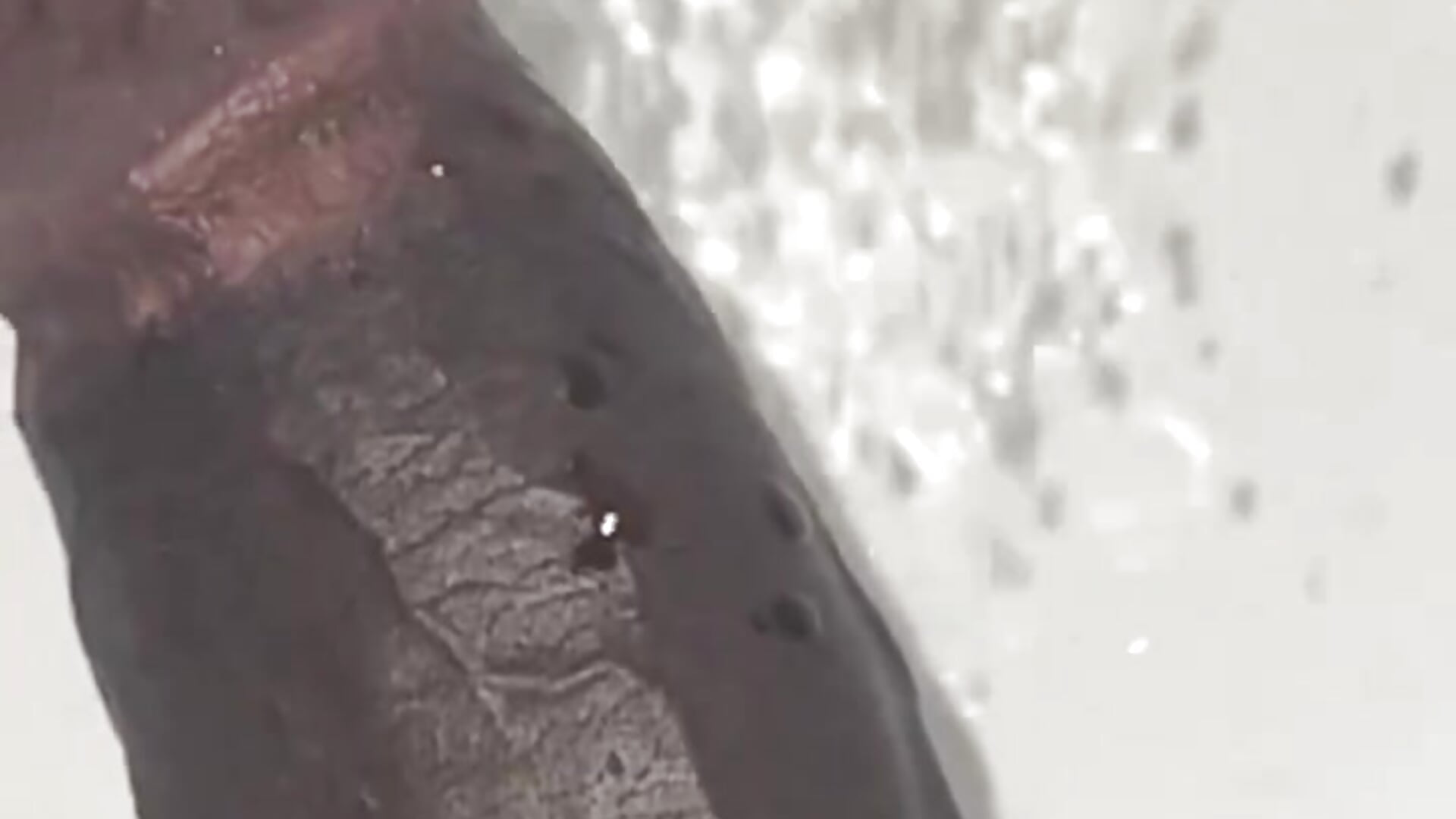 Clean dick After shower - відео від вебкаммоделі Gifttheskimaskboy