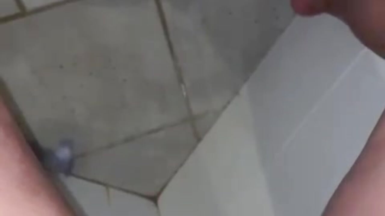 PIPI