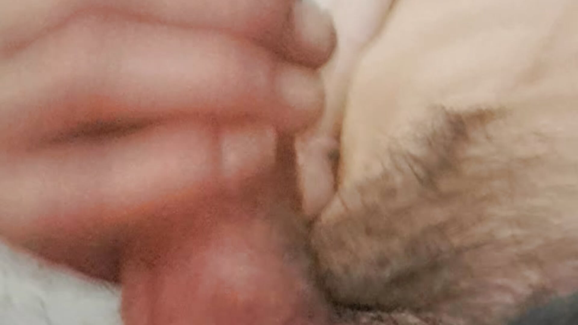 20230912_184126 - video by sexlockoxxx cam model