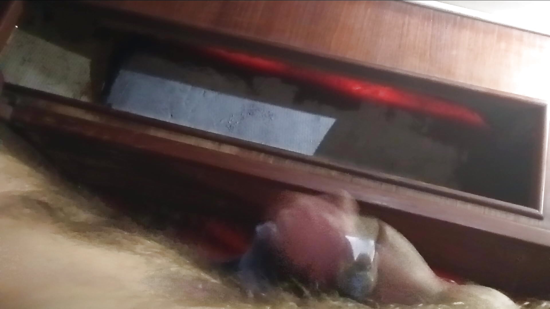 20250211_160200.mp4 – video modela na kameri Pcsammy73