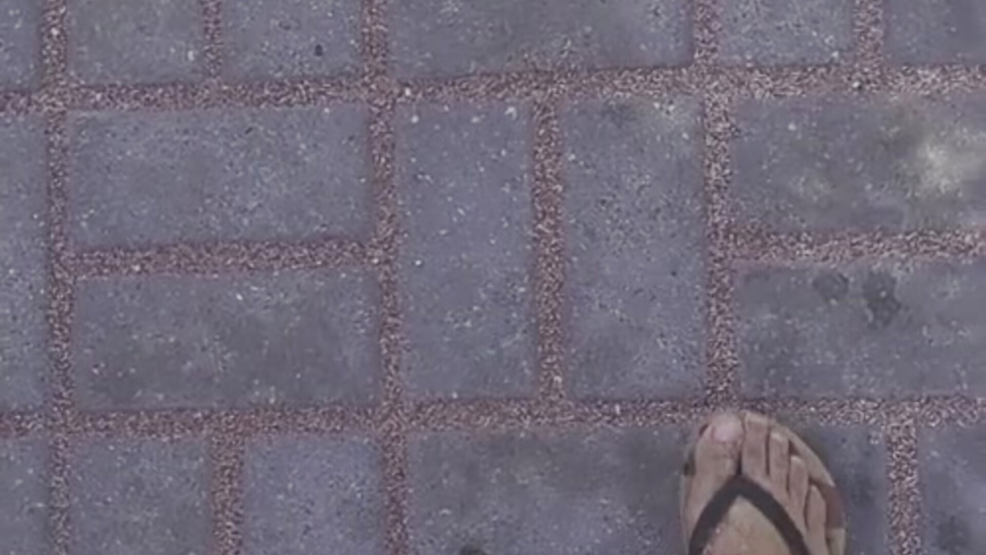 cadê os fãs de pés👣? caminhando em areais rosas com meus pequenos pés n°35 👣💖