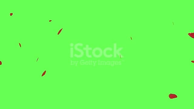 18 - 視頻由 Yii-Ser 主播提供