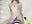 cowgirl with tentacly - video by LoraaDoll cam model