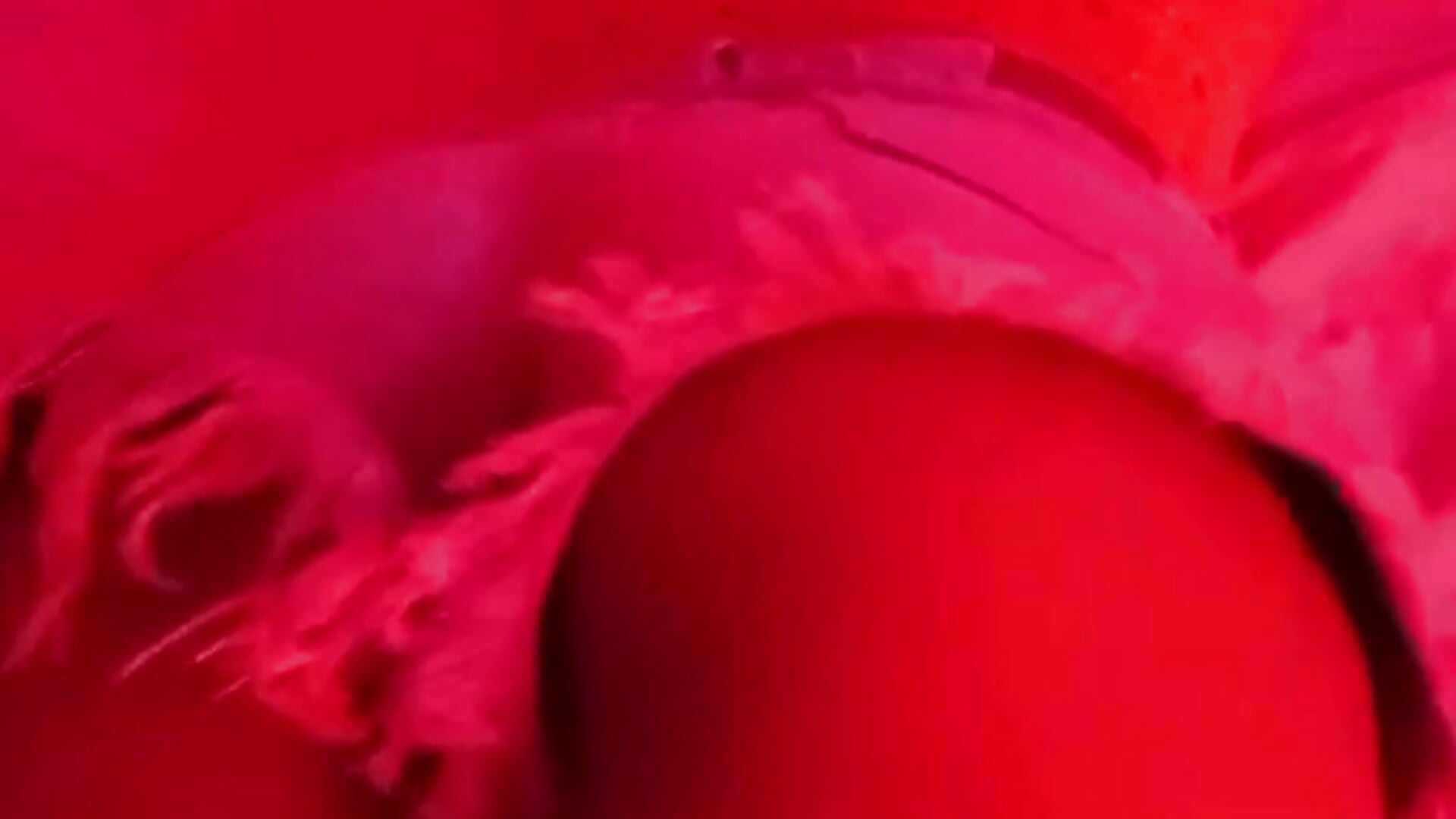 ready body for you - video by ZoeSmitth cam model