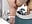 Pussy playing - video by VelmaEvans cam model