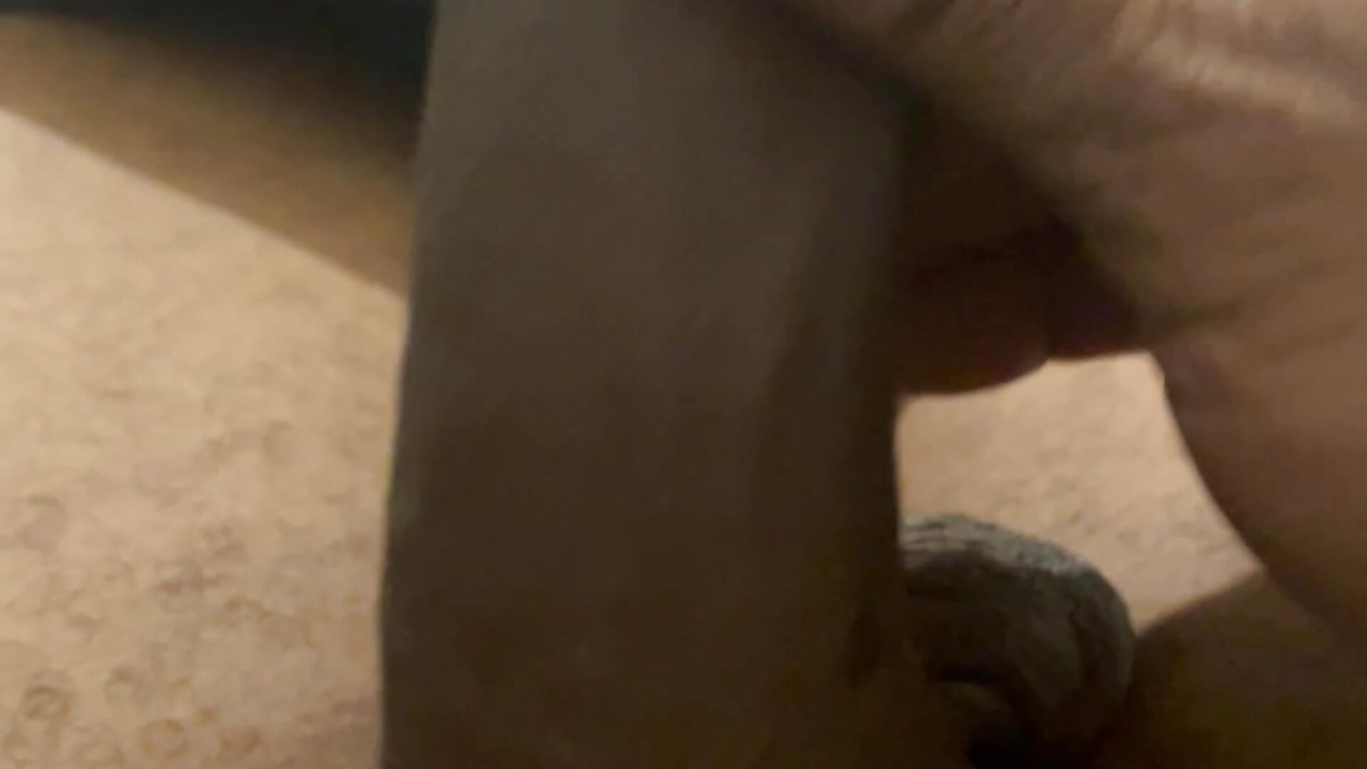 IMG_3037 - video by Enos3theblackgod cam model