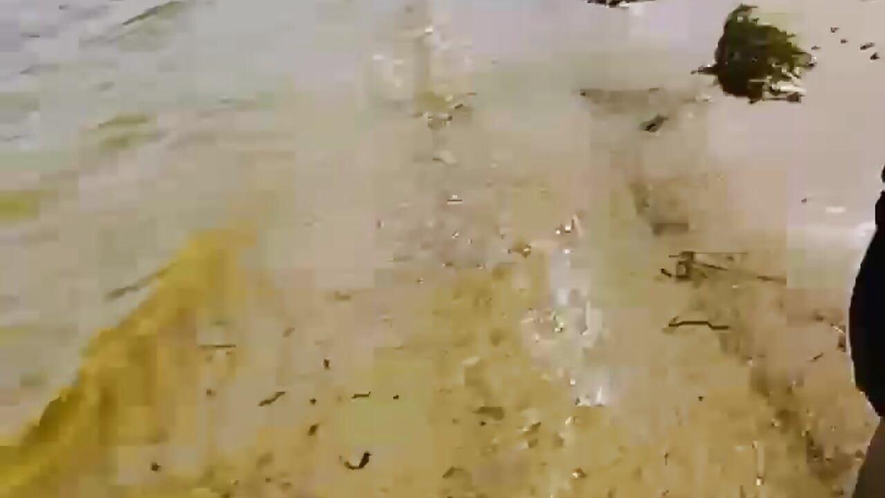 🐳🐠🌾walk on the beach - Anita-Smith 캠 모델의 동영상