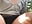 IMG_1069 - video by Anita-Smith cam model